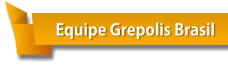 Equipe grepolis button.png